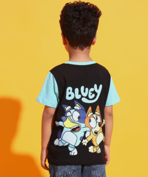 30 12 2024 ali 00517