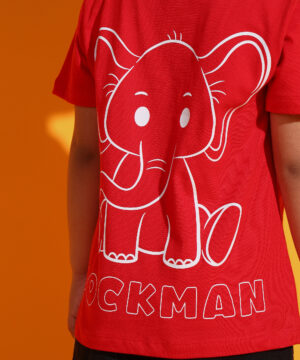 30 12 2024 ali 01151